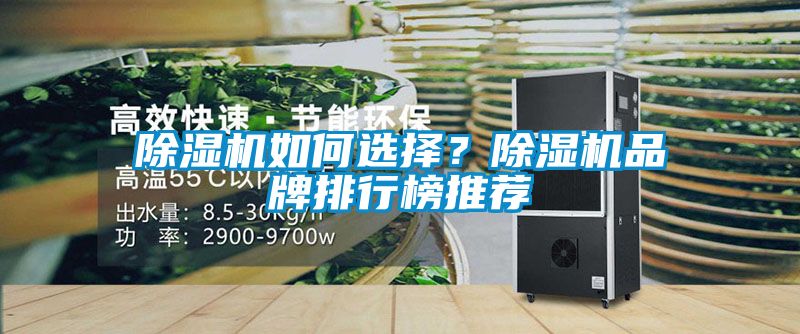 草莓视频APP在线观看如何选择？草莓视频APP在线观看品牌排行榜推荐