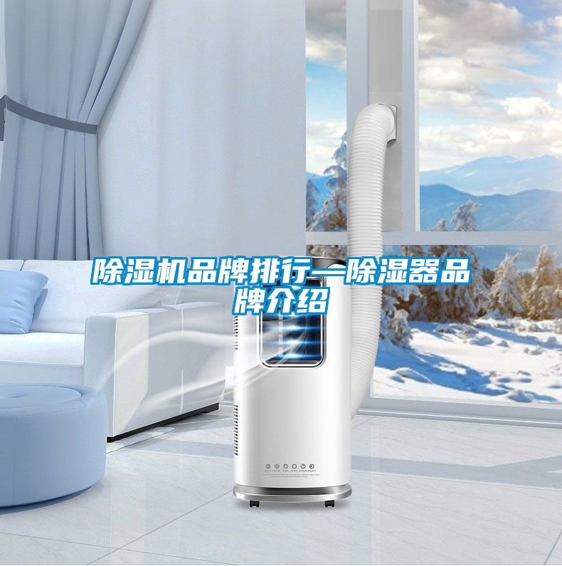 草莓视频APP在线观看品牌排行—除湿器品牌介绍