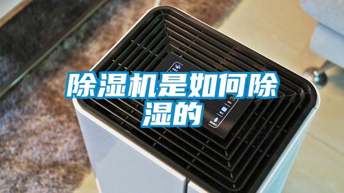 草莓视频APP在线观看是如何除湿的