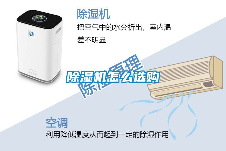 草莓视频APP在线观看怎么选购