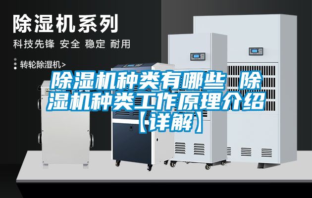 草莓视频APP在线观看种类有哪些 草莓视频APP在线观看种类工作原理介绍【详解】