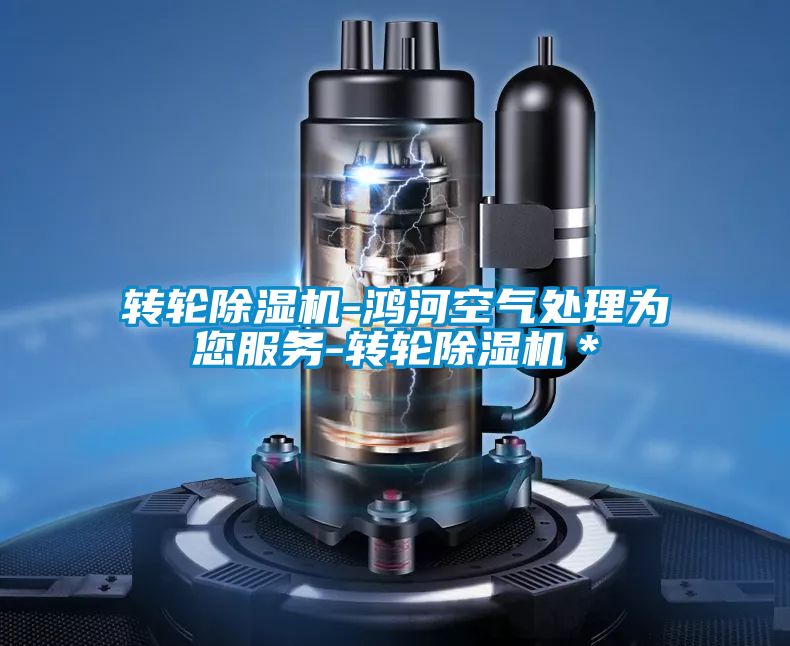 转轮草莓视频APP在线观看-鸿河空气处理为您服务-转轮草莓视频APP在线观看＊