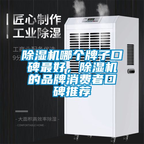 草莓视频APP在线观看哪个牌子口碑最好，草莓视频APP在线观看的品牌消费者口碑推荐