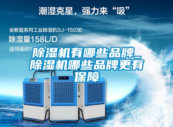 草莓视频APP在线观看有哪些品牌_草莓视频APP在线观看哪些品牌更有保障
