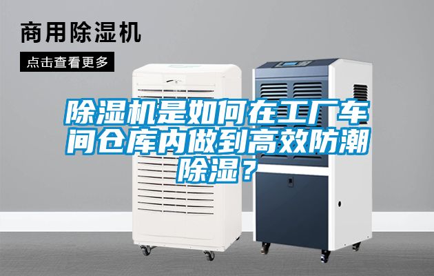 草莓视频APP在线观看是如何在工厂车间仓库内做到高效防潮除湿？
