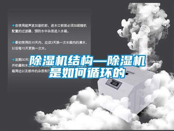 草莓视频APP在线观看结构—草莓视频APP在线观看是如何循环的