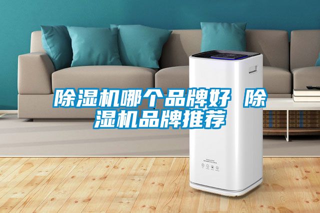 草莓视频APP在线观看哪个品牌好 草莓视频APP在线观看品牌推荐