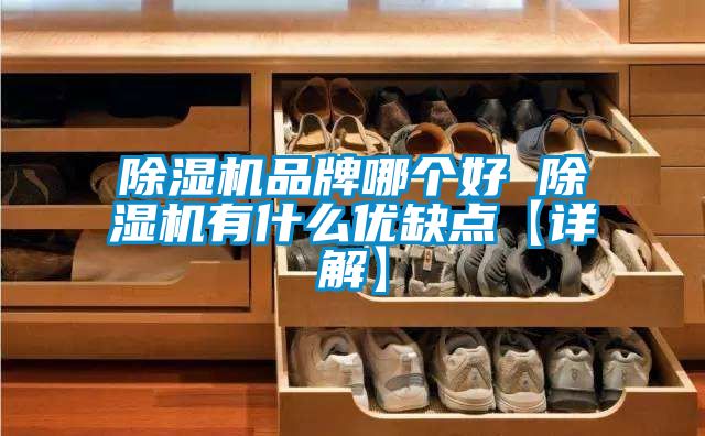 草莓视频APP在线观看品牌哪个好 草莓视频APP在线观看有什么优缺点【详解】