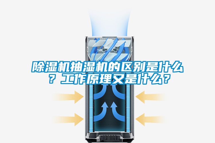 草莓视频APP在线观看抽湿机的区别是什么？工作原理又是什么？