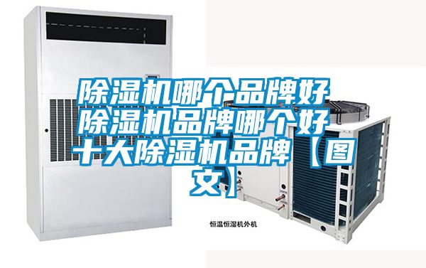 草莓视频APP在线观看哪个品牌好 草莓视频APP在线观看品牌哪个好 十大草莓视频APP在线观看品牌【图文】