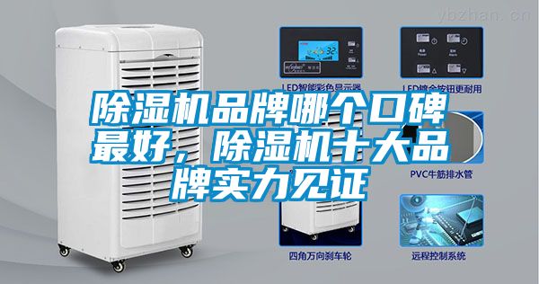 草莓视频APP在线观看品牌哪个口碑最好，草莓视频APP在线观看十大品牌实力见证