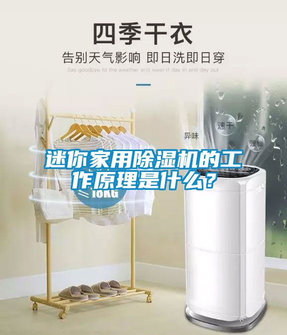 迷你家用草莓视频APP在线观看的工作原理是什么？