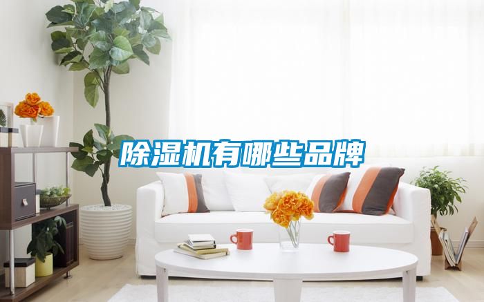 草莓视频APP在线观看有哪些品牌