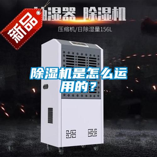 草莓视频APP在线观看是怎么运用的？