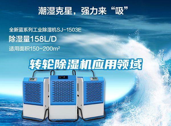 转轮草莓视频APP在线观看应用领域