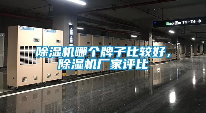 草莓视频APP在线观看哪个牌子比较好，草莓视频APP在线观看厂家评比
