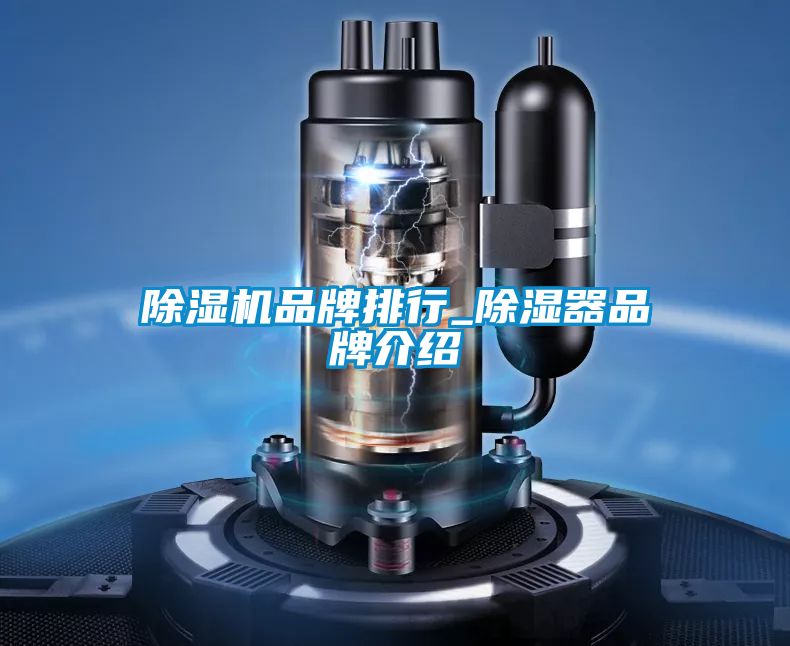 草莓视频APP在线观看品牌排行_除湿器品牌介绍