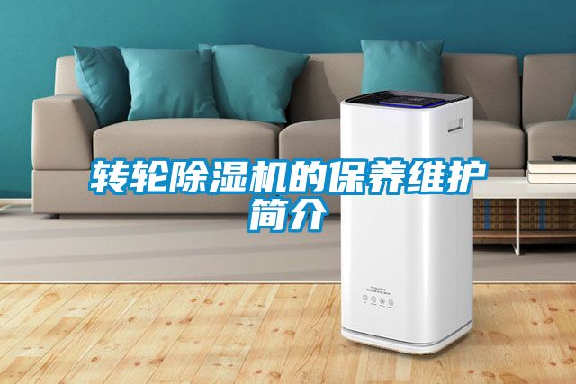转轮草莓视频APP在线观看的保养维护简介