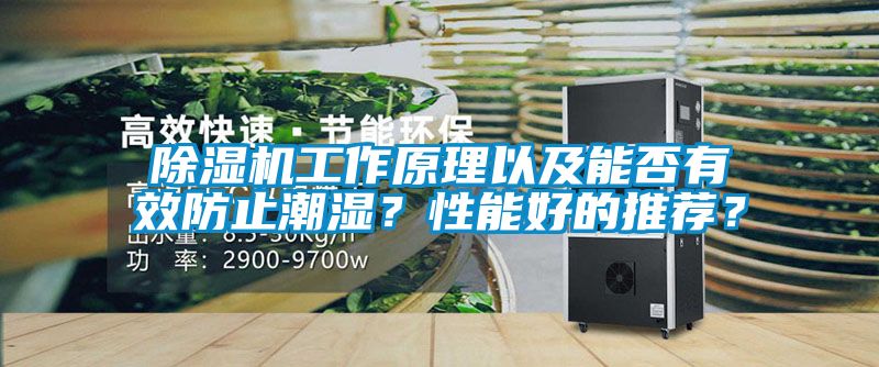 草莓视频APP在线观看工作原理以及能否有效防止潮湿？性能好的推荐？