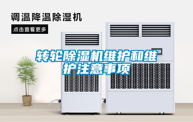 转轮草莓视频APP在线观看维护和维护注意事项