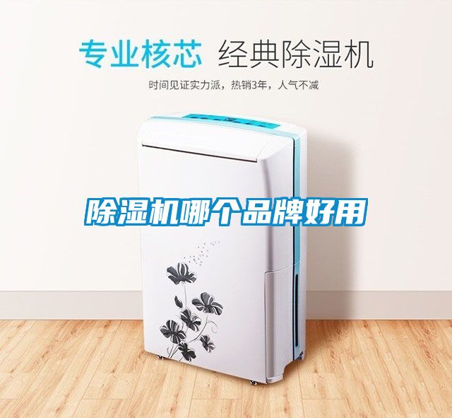 草莓视频APP在线观看哪个品牌好用