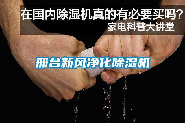 邢台新风净化草莓视频APP在线观看