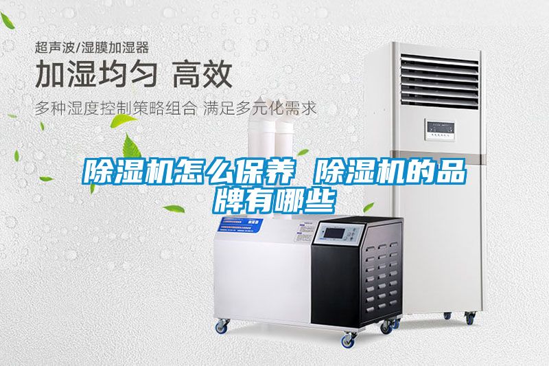 草莓视频APP在线观看怎么保养 草莓视频APP在线观看的品牌有哪些