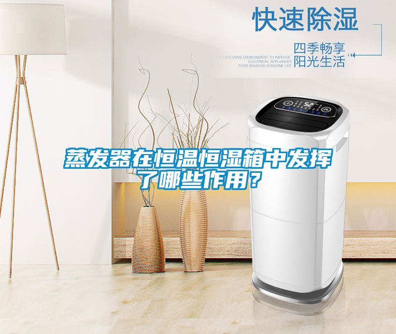 蒸发器在恒温恒湿箱中发挥了哪些作用？