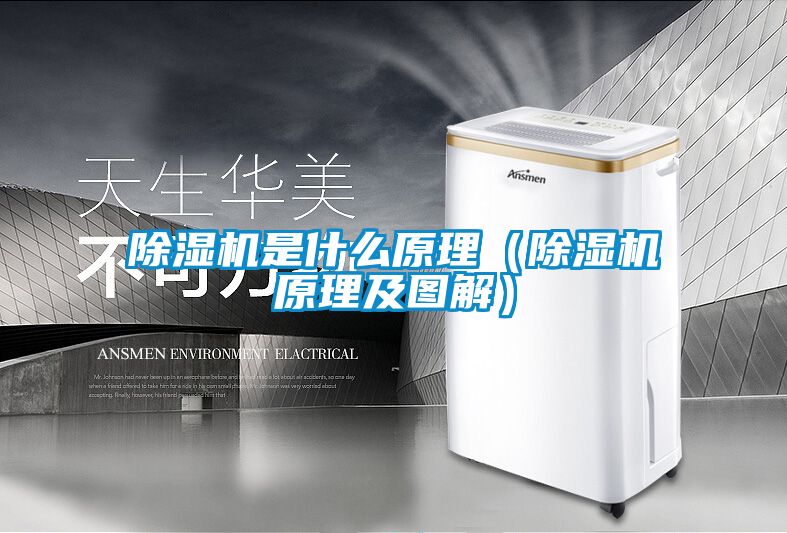 草莓视频APP在线观看是什么原理（草莓视频APP在线观看原理及图解）