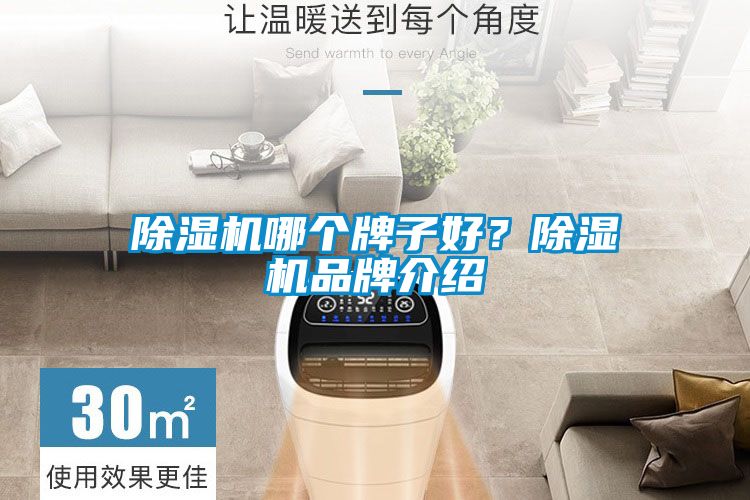 草莓视频APP在线观看哪个牌子好？草莓视频APP在线观看品牌介绍