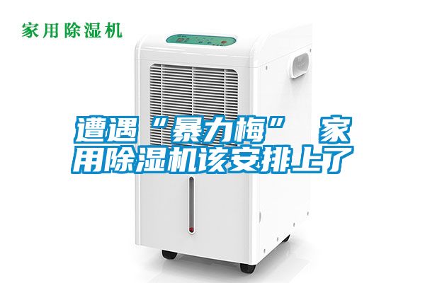 遭遇“暴力梅” 家用草莓视频APP在线观看该安排上了