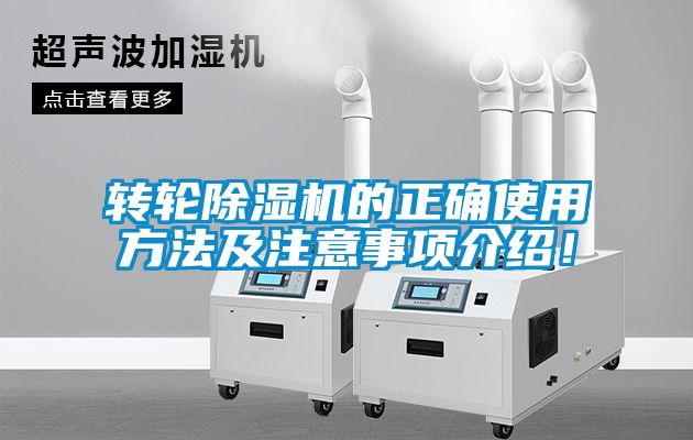 转轮草莓视频APP在线观看的正确使用方法及注意事项介绍！
