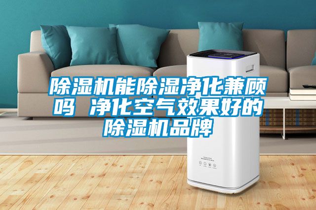 草莓视频APP在线观看能除湿净化兼顾吗 净化空气效果好的草莓视频APP在线观看品牌