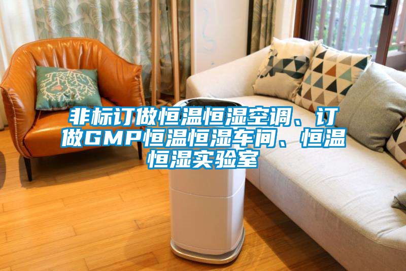 非标订做恒温恒湿空调、订做GMP恒温恒湿车间、恒温恒湿实验室