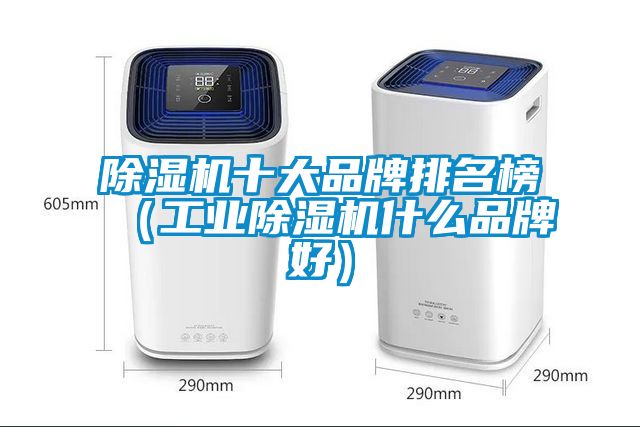 草莓视频APP在线观看十大品牌排名榜（工业草莓视频APP在线观看什么品牌好）