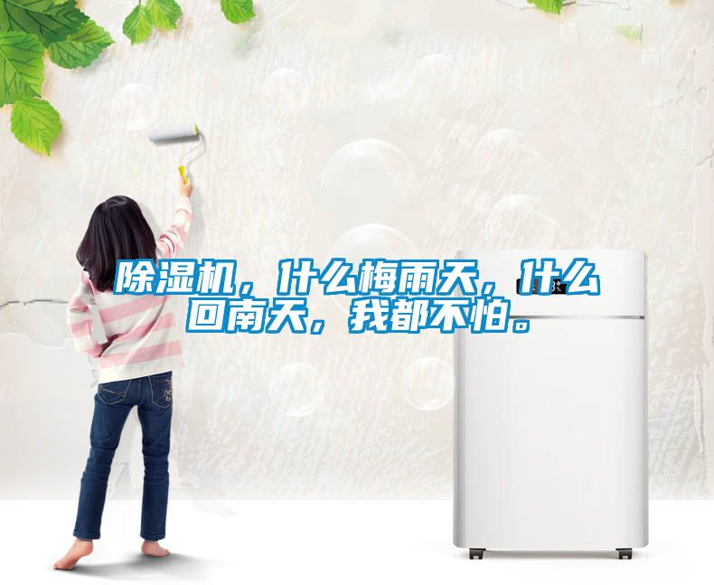 草莓视频APP在线观看，什么梅雨天，什么回南天，我都不怕。