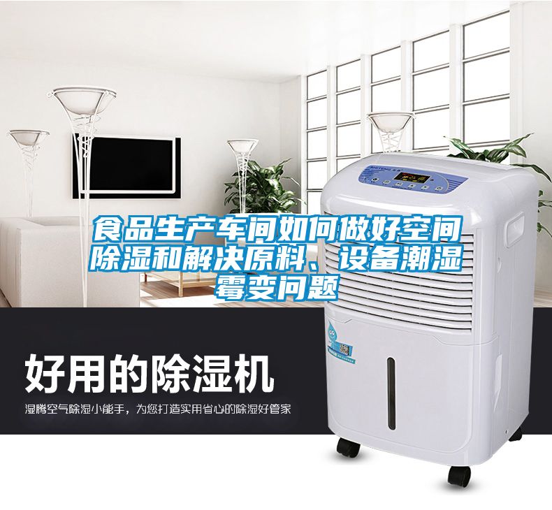 食品生产车间如何做好空间除湿和解决原料、设备潮湿霉变问题