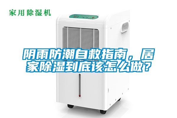 阴雨防潮自救指南，居家除湿到底该怎么做？