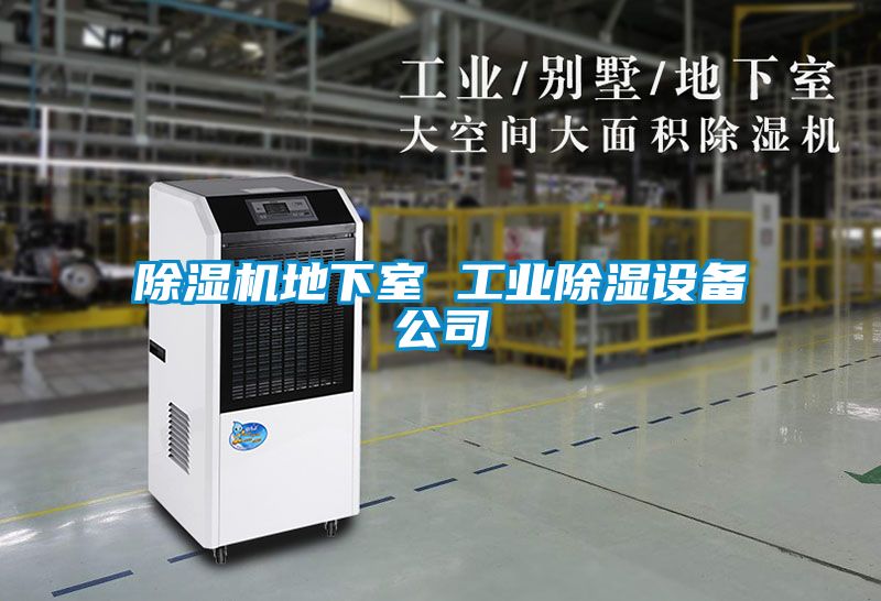 草莓视频APP在线观看地下室 工业除湿设备公司