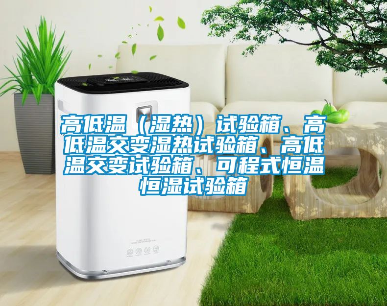 高低温（湿热）试验箱、高低温交变湿热试验箱、高低温交变试验箱、可程式恒温恒湿试验箱