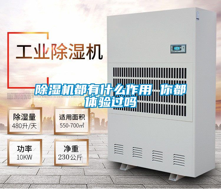 草莓视频APP在线观看都有什么作用 你都体验过吗
