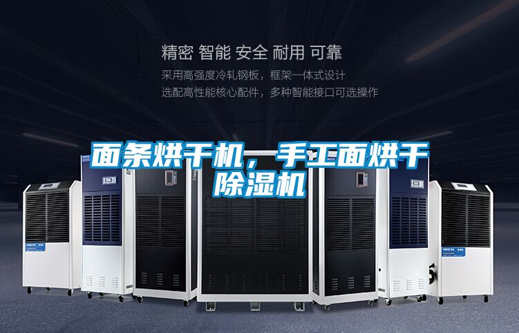 面条烘干机，手工面烘干草莓视频APP在线观看