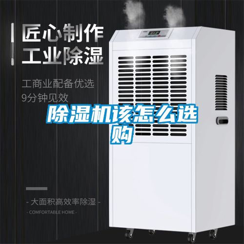 草莓视频APP在线观看该怎么选购