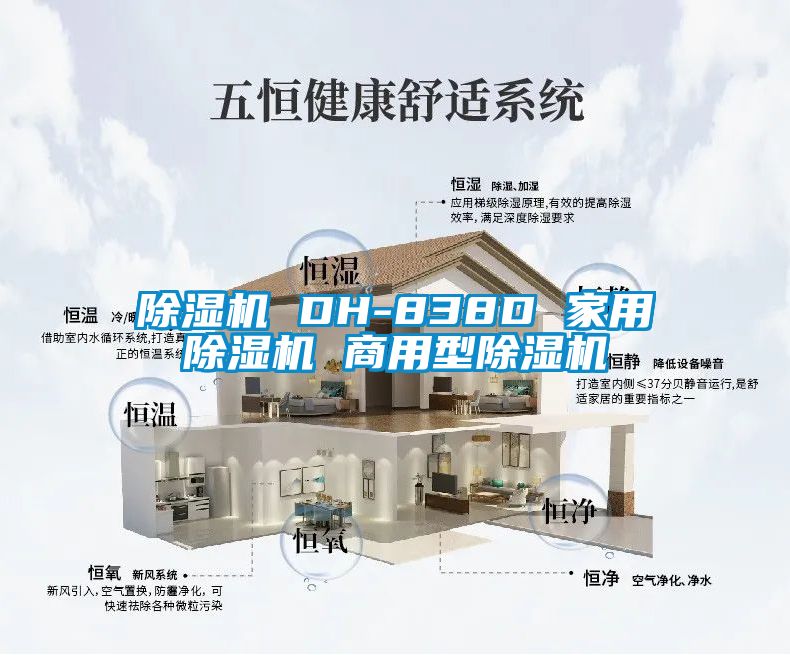 草莓视频APP在线观看 DH-838D 家用草莓视频APP在线观看 商用型草莓视频APP在线观看