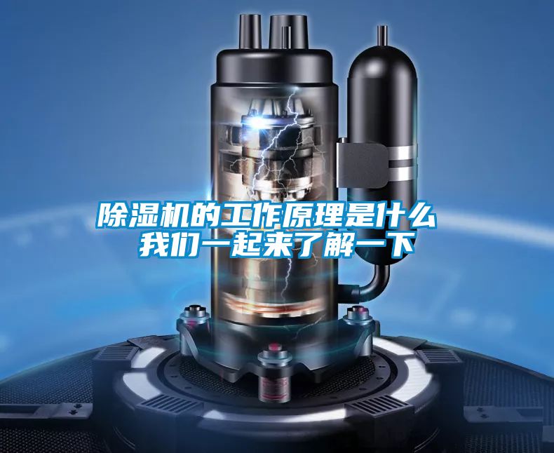 草莓视频APP在线观看的工作原理是什么 草莓视频污污版一起来了解一下