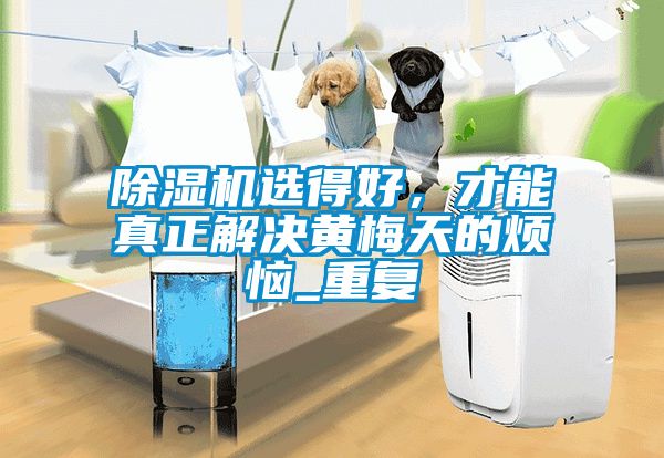 草莓视频APP在线观看选得好，才能真正解决黄梅天的烦恼_重复
