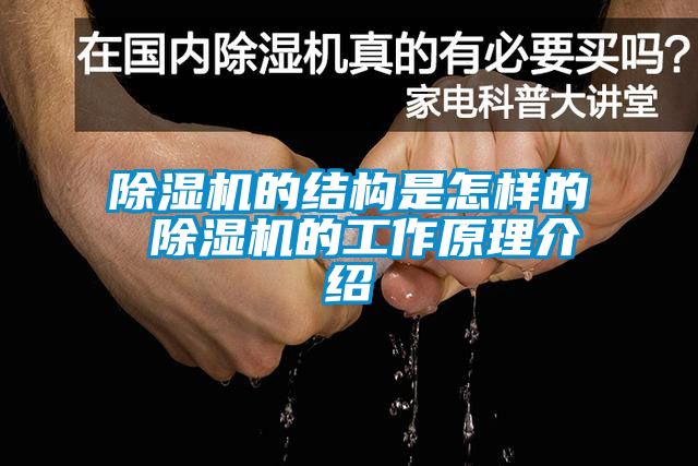 草莓视频APP在线观看的结构是怎样的 草莓视频APP在线观看的工作原理介绍