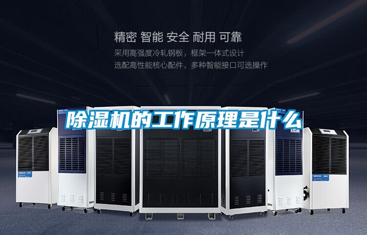 草莓视频APP在线观看的工作原理是什么