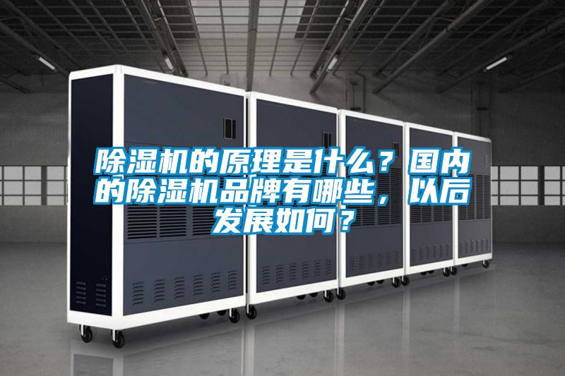 草莓视频APP在线观看的原理是什么？国内的草莓视频APP在线观看品牌有哪些，以后发展如何？