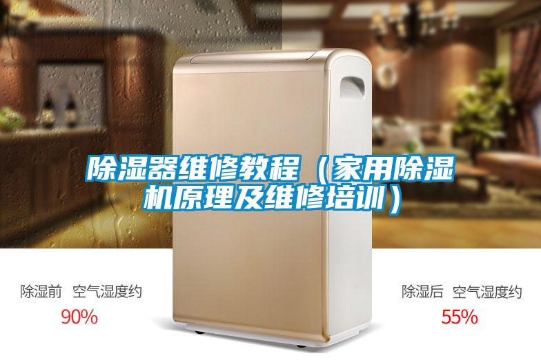 除湿器维修教程（家用草莓视频APP在线观看原理及维修培训）